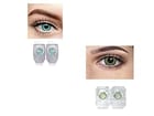 ... ...