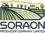 Soraon Producer Company Limited