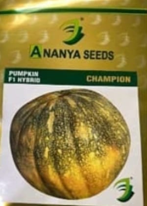  Pumpkin Seeds F1 Hybrid Champion