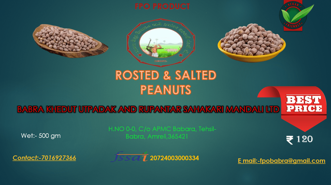 Roasted and Salted Peanuts 500 gm