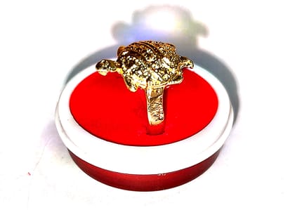  "Exquisite Golden Turtle Ring - A Symbol of Luck and Longevity"