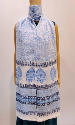 Indigo Floral Jaal Dupatta Indigo Floral Jaal Dupatta