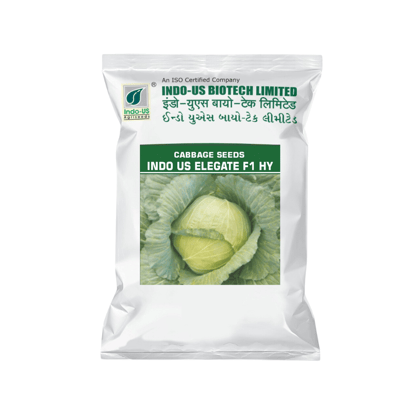 INDO US ELEGATE F1 HY - Cabbage Seeds INDO US ELEGATE F1 HY - Cabbage Seeds