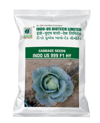 INDO US 999 F1 HY Cabbage Seeds INDO US 999 F1 HY Cabbage Seeds