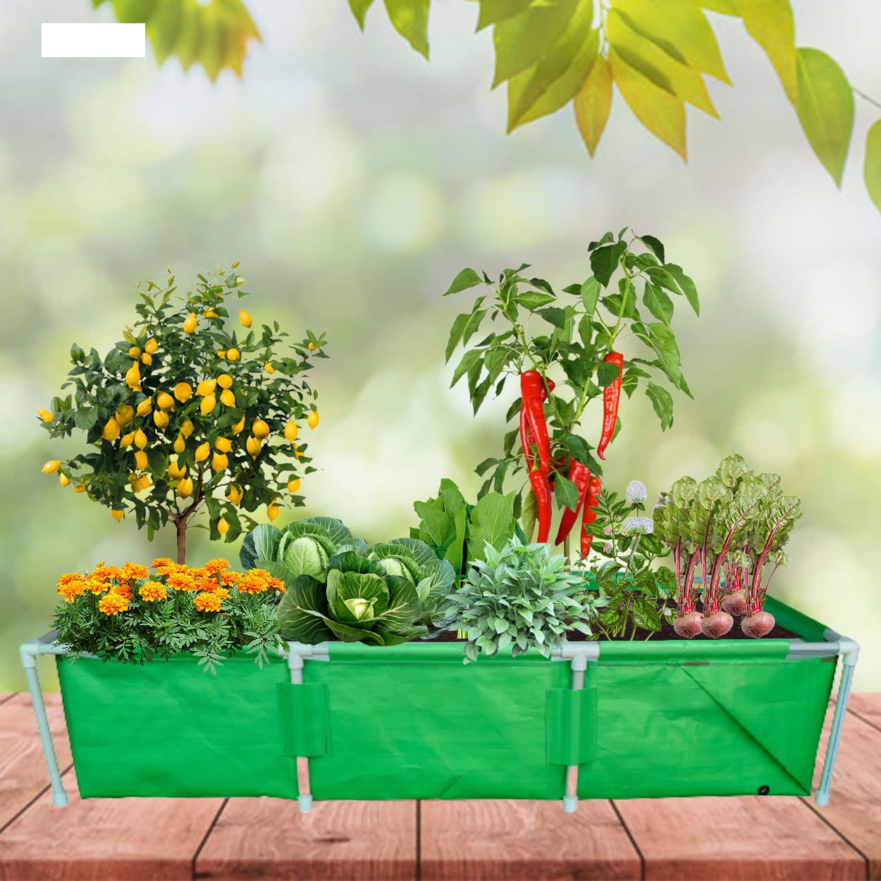 WNE Jaliwale (Size - 5 X 1 X 1 Feet HDPE Rectangle Grow Bag with PVC Pipe Support & Rectangle Grow Bag with Supporting PVC Pipes, Grow Bags with Support for Terrace Gardening