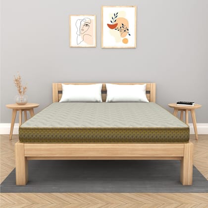 Centuary Mattresses Softopedic 2.0 6-Inch Best Foam Mattress Centuary Mattresses Softopedic 2.0 6-Inch Best Foam Mattress