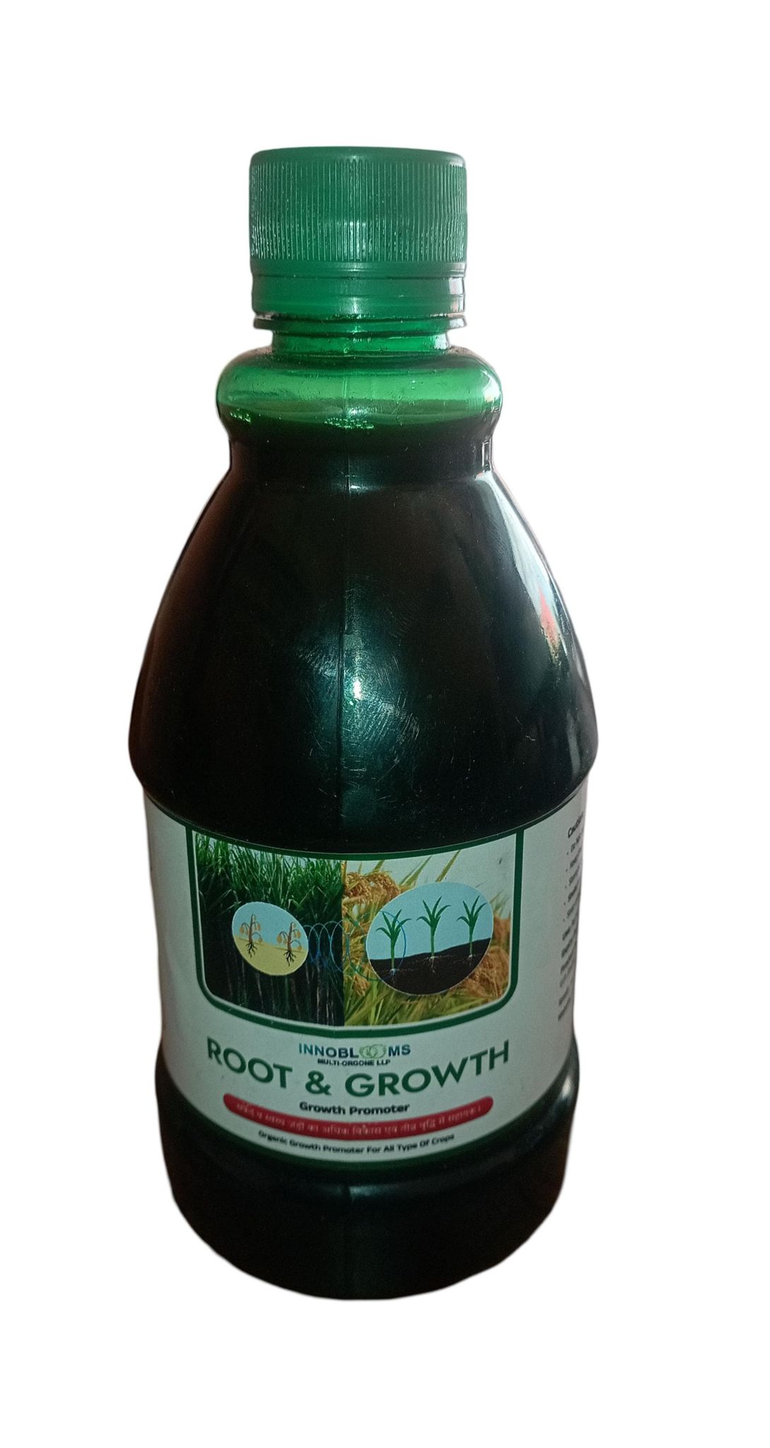 Root & Growth