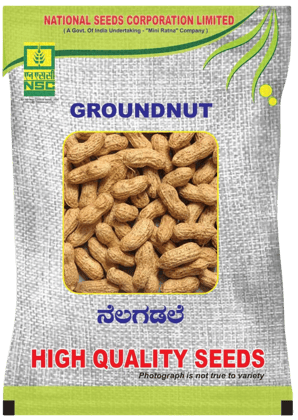 GROUNDNUT DH-256 TL PODS-10 KG