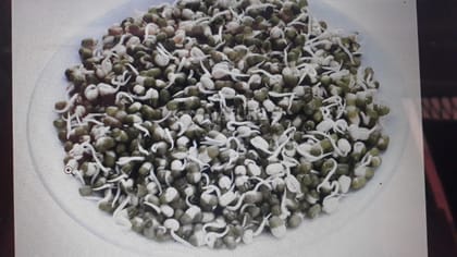 Green Gram Whole - 1 Kg Green Gram Whole - 1 Kg