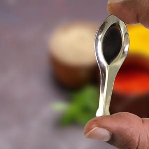 JcyourStore BT Masala Spoon Set of 12