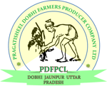 Pragatisheel Dobhi Farmers Producer Company Limited Pragatisheel Dobhi Farmers Producer Company Limited