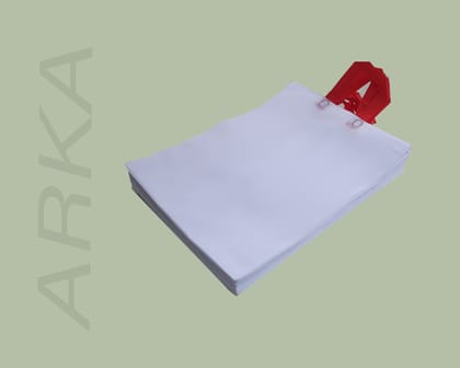 Loop Handle 16x20 (200 Pcs) Non-Woven Carry Bags