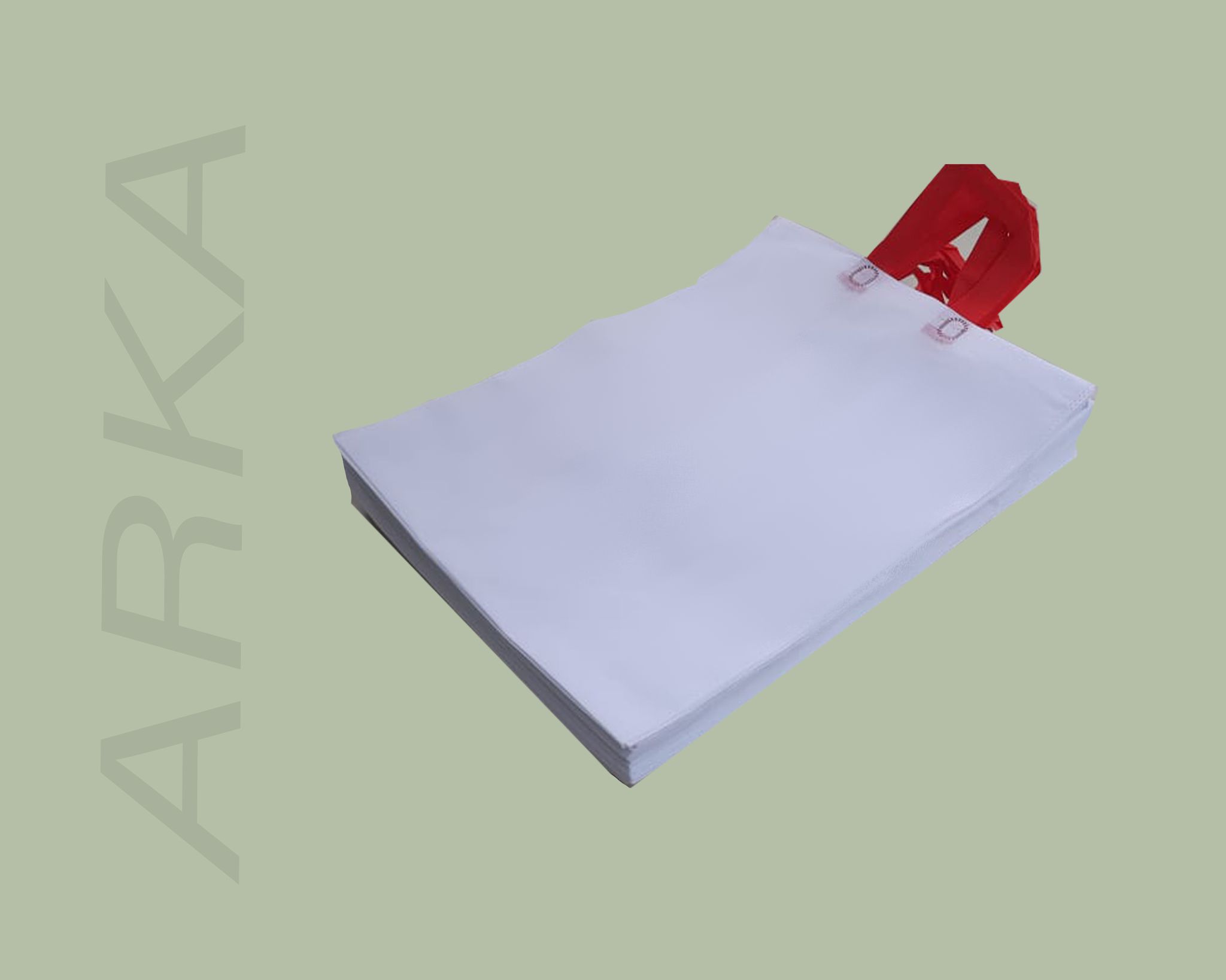 Loop Handle 16x20 (200 Pcs) Non-Woven Carry Bags