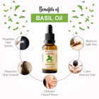 ... ...