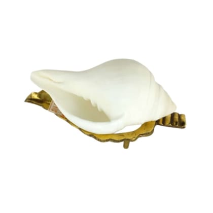 MAYAPURI Small Size Natural Jal Sankha/Sankh/Puja Sankha White Conch Shells with Sankha Stand (Set of 1) MAYAPURI Small Size Natural Jal Sankha/Sankh/Puja Sankha White Conch Shells with Sankha Stand (Set of 1)