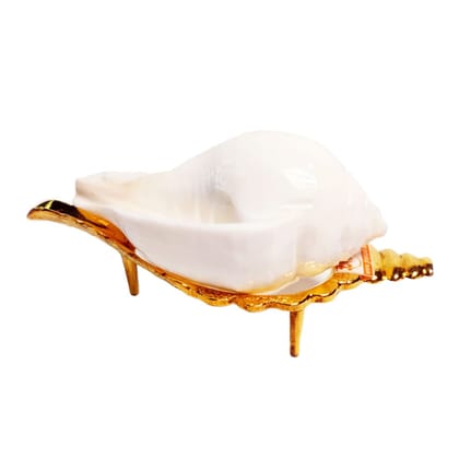 MAYAPURI Natural Puja Shankha/Jal Sankha | White Conch Shells with Sankha Stand MAYAPURI Natural Puja Shankha/Jal Sankha | White Conch Shells with Sankha Stand