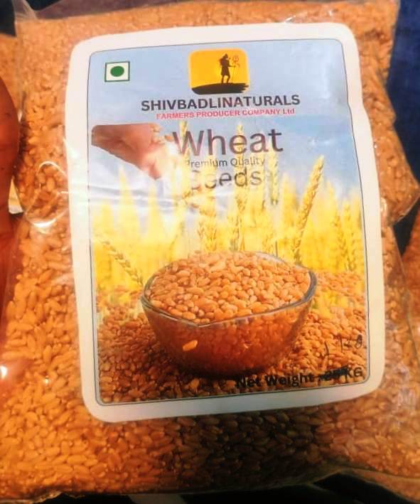 Wheat