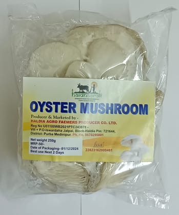 Oyster Mushrooms - Straight from the Farmers for Purity and Good Health - 250g" Oyster Mushrooms - Straight from the Farmers for Purity and Good Health - 250g"