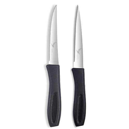 SNOKE® Stainless Steel Kitchen Knife For Home Use - Kitchen Knife Set , 2 Pieces , Silver ,