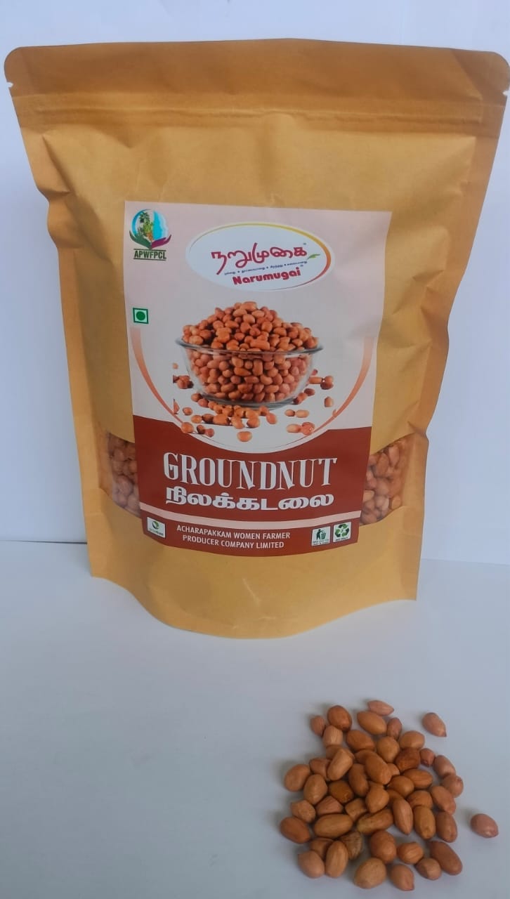 Groundnut Kernel