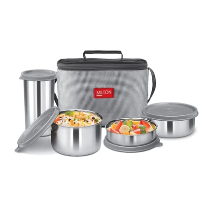 Milton Delicious Combo Stainless Steel Lunch Pack with Bag.