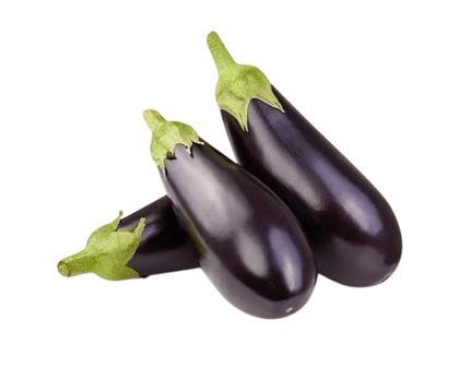 Fresh Brinjal Fresh Brinjal