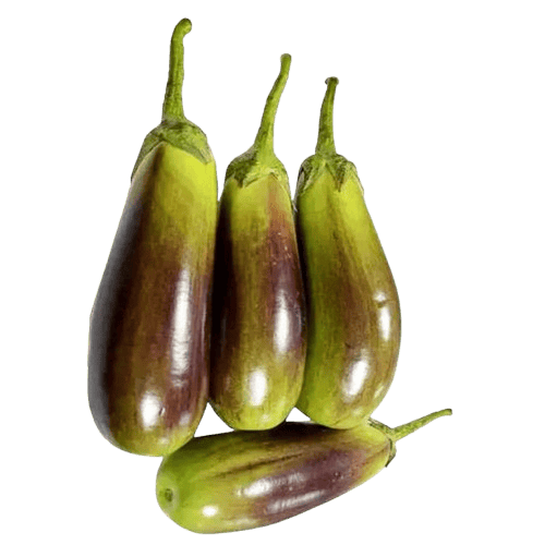  Fresh Brinjal/Eggplant, Organic and Pesticide-Free, Straight from the Farm