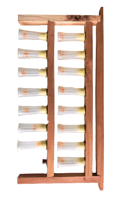 Beeready Queen grafting frame| Essential Beekeeping Equipment