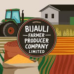 Bijauli Farmer Producer Company Limited Bijauli Farmer Producer Company Limited