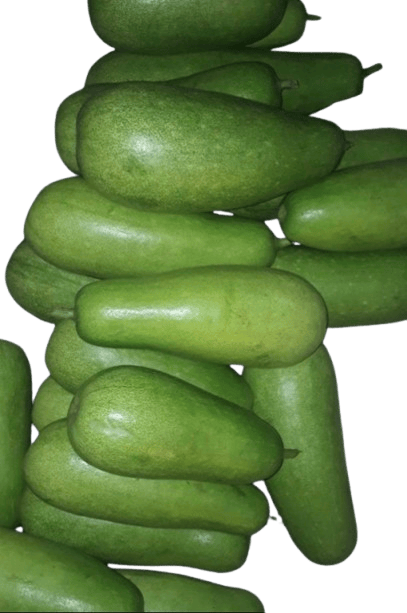 Fresh Organic Bottle Gourd (Lauki) - 1 pcs