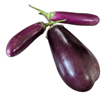 Organic Brinjal/Eggplants, Fresh and Locally Grown, Available Now!
