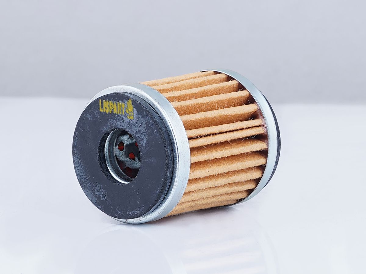 LISPART Air Filter - 2AFM-3070 for R15
