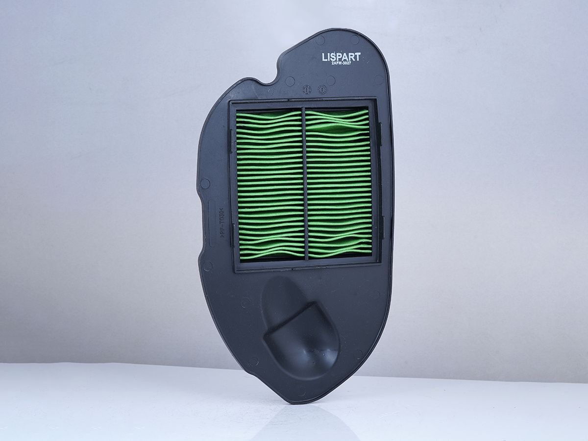 LISPART Air Filter - 2AFM-3027 for ACCESS