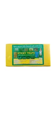 Yellow Trap Yellow Trap