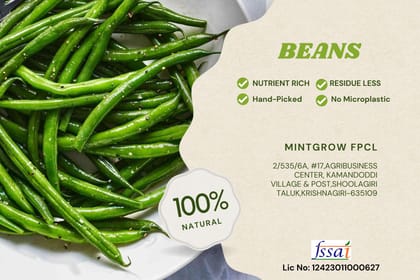 Beans Haricot