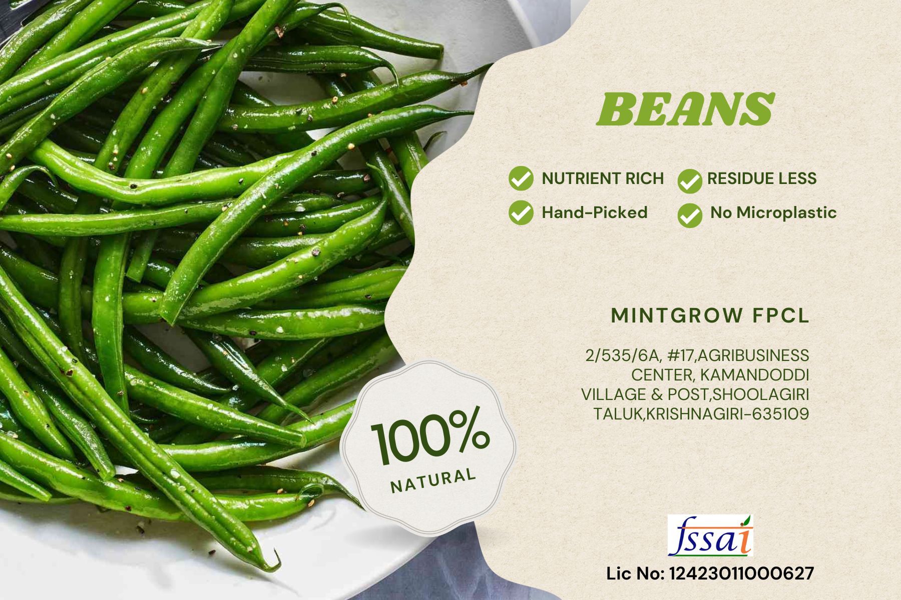 Beans Haricot