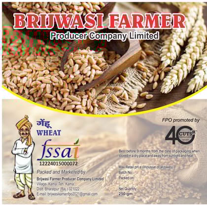 Whole Wheat Grains - 1 kg