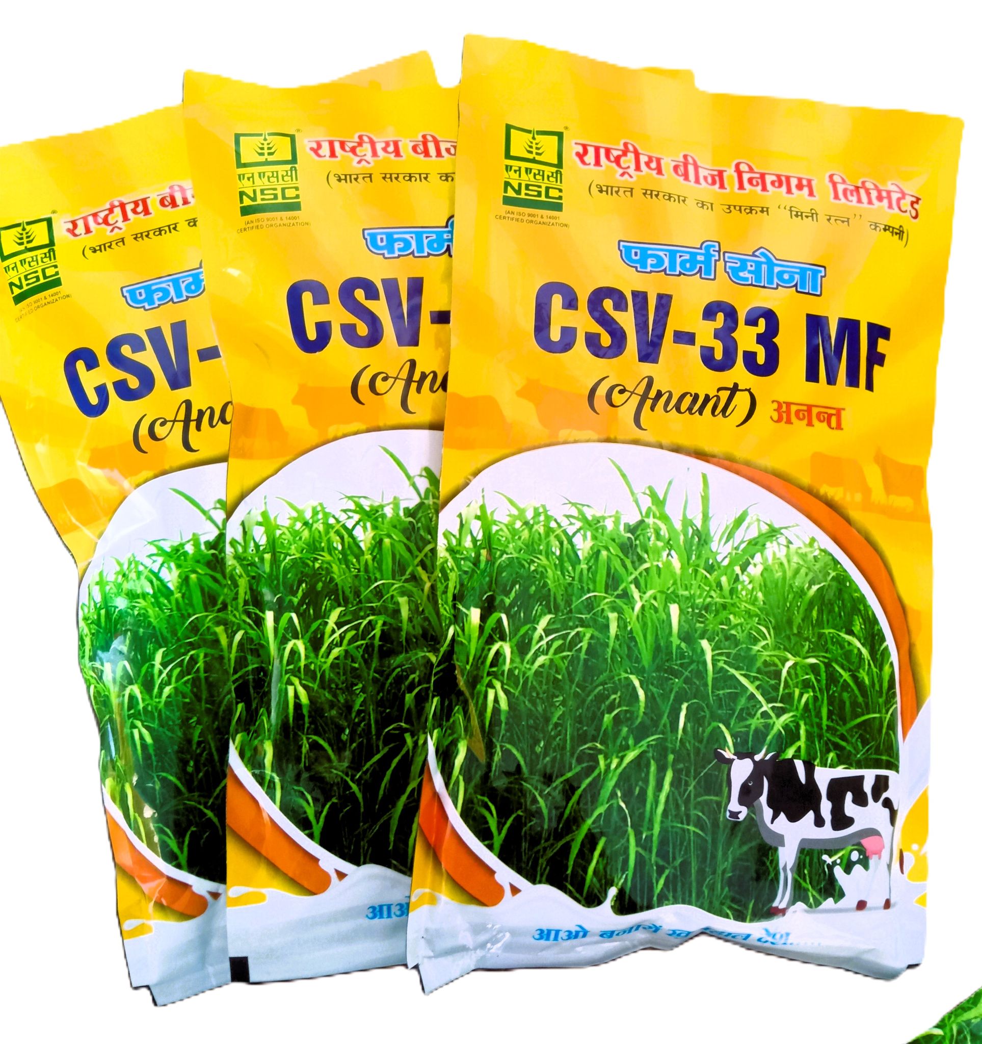 NSC Farm Sona CSV-33 MF (Anant) Forage Sorghum Seeds