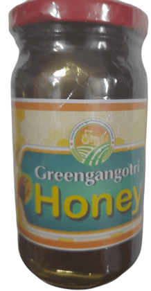 Green Gangotri 100% Pure and Natural Honey, 250g" Green Gangotri 100% Pure and Natural Honey, 250g"
