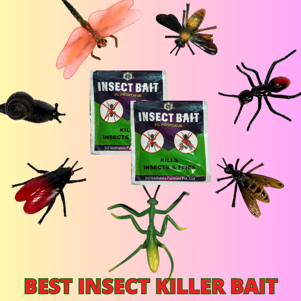 Best Cockroach Killer & Other Insects Killer Bait | Effective For Cockroaches ,Flies & Other Insect (Pack Of 2)