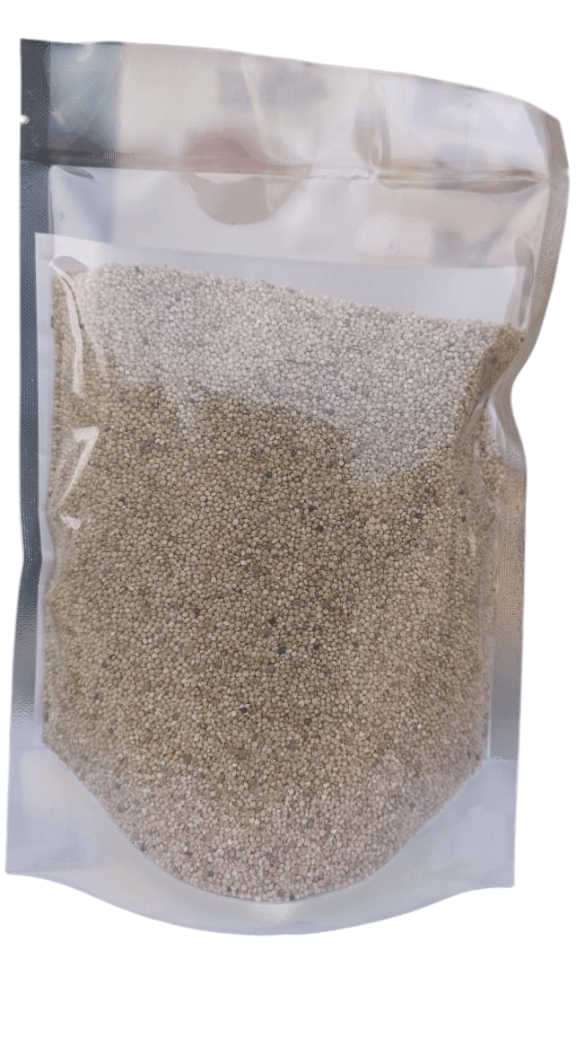 Barnyard Millet