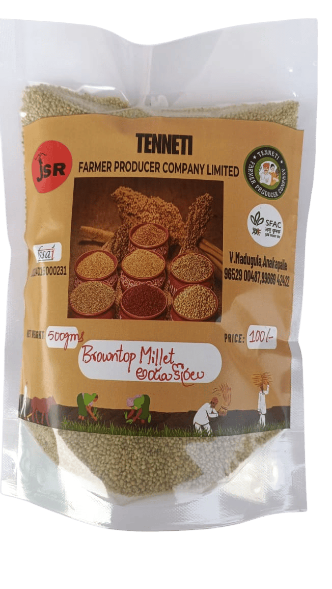BROWNTOP MILLET