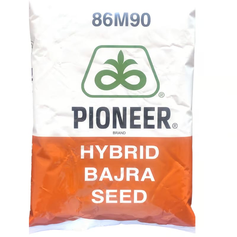 Hybrid Bajra Seed