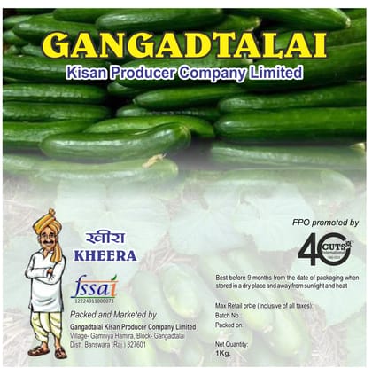 Fresh Cucumber | Kheera | 1 kg Fresh Cucumber | Kheera | 1 kg