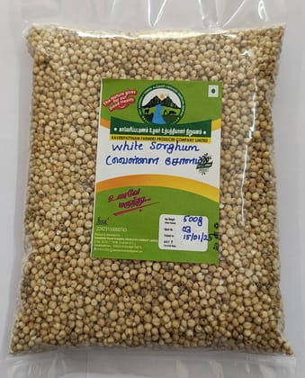 WHITE SORGHUM