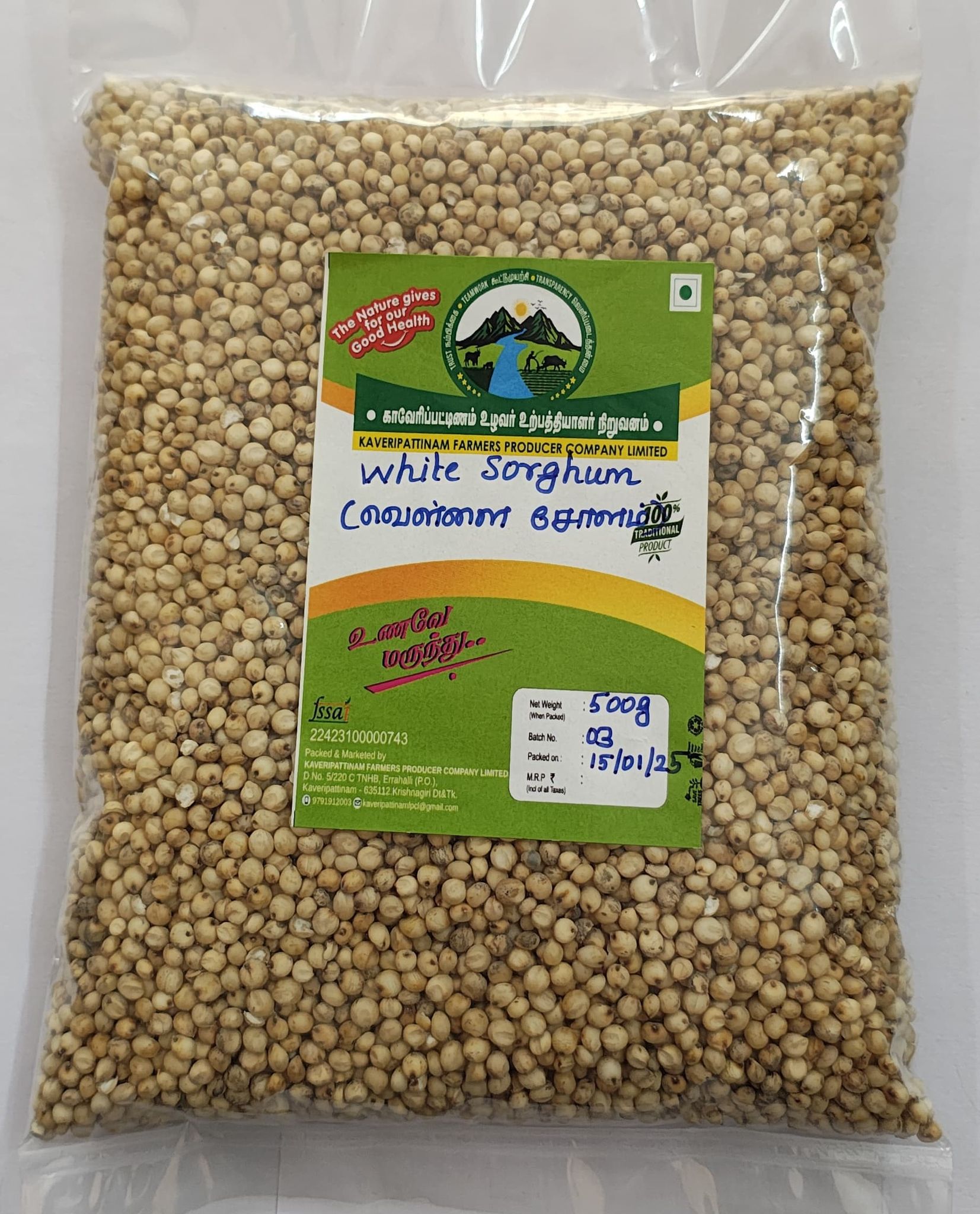 WHITE SORGHUM