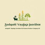 Sedapatti Vayalaga Jeevidam Fed Farmers Producer Company Limited Sedapatti Vayalaga Jeevidam Fed Farmers Producer Company Limited