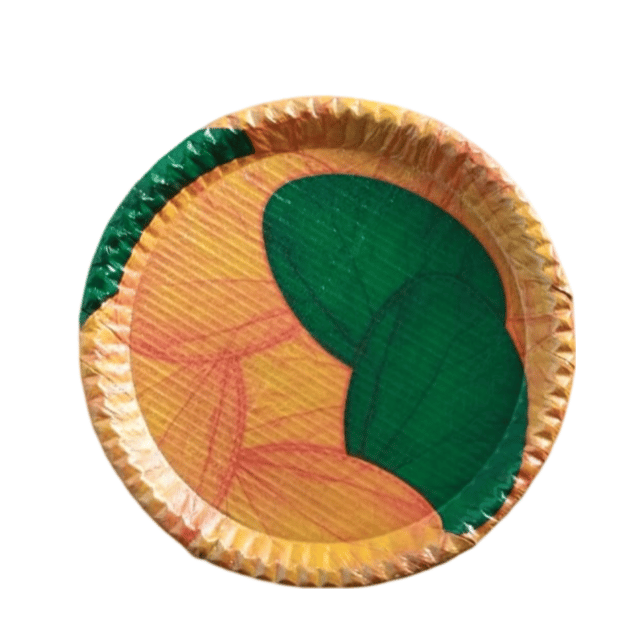 Eco-Friendly Disposable Paper Plates | 100% Biodegradable | Pack of 50