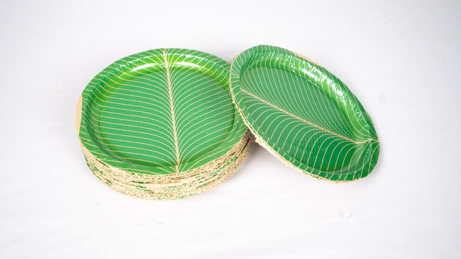 Eco-Friendly Disposable Areca Leaf Plates | 100% Natural & Biodegradable | Pack of 50 (SML)