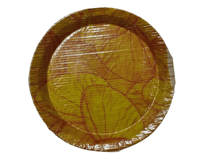 Eco-Friendly Disposable Areca Leaf Plates | 100% Natural & Biodegradable | Perfect for Parties, Weddings, and Events